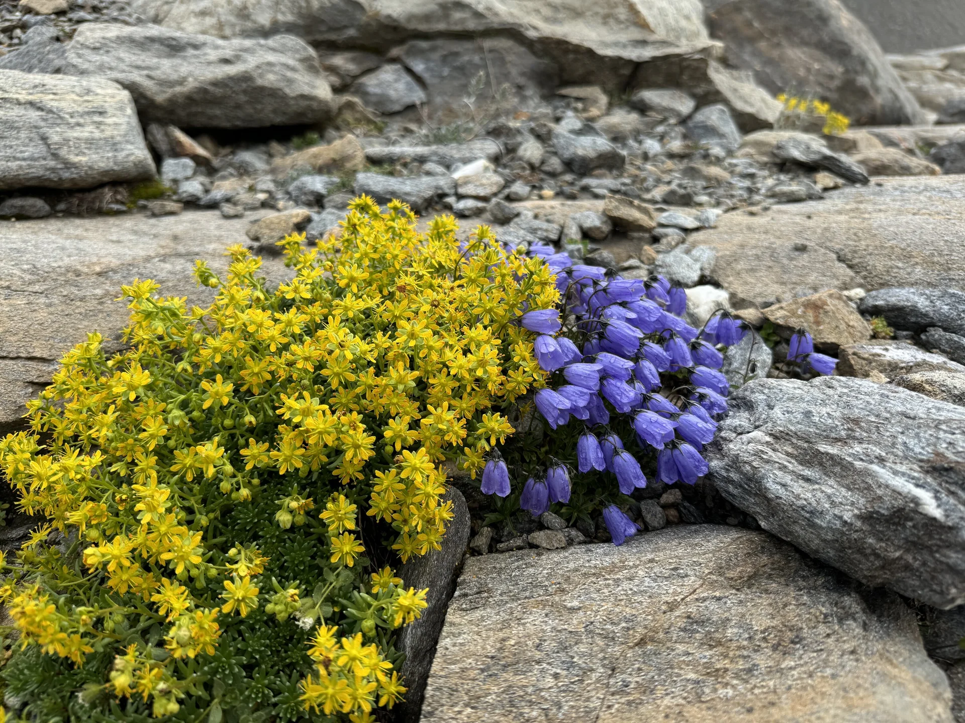 © Bergfreunde-Muenchen SM