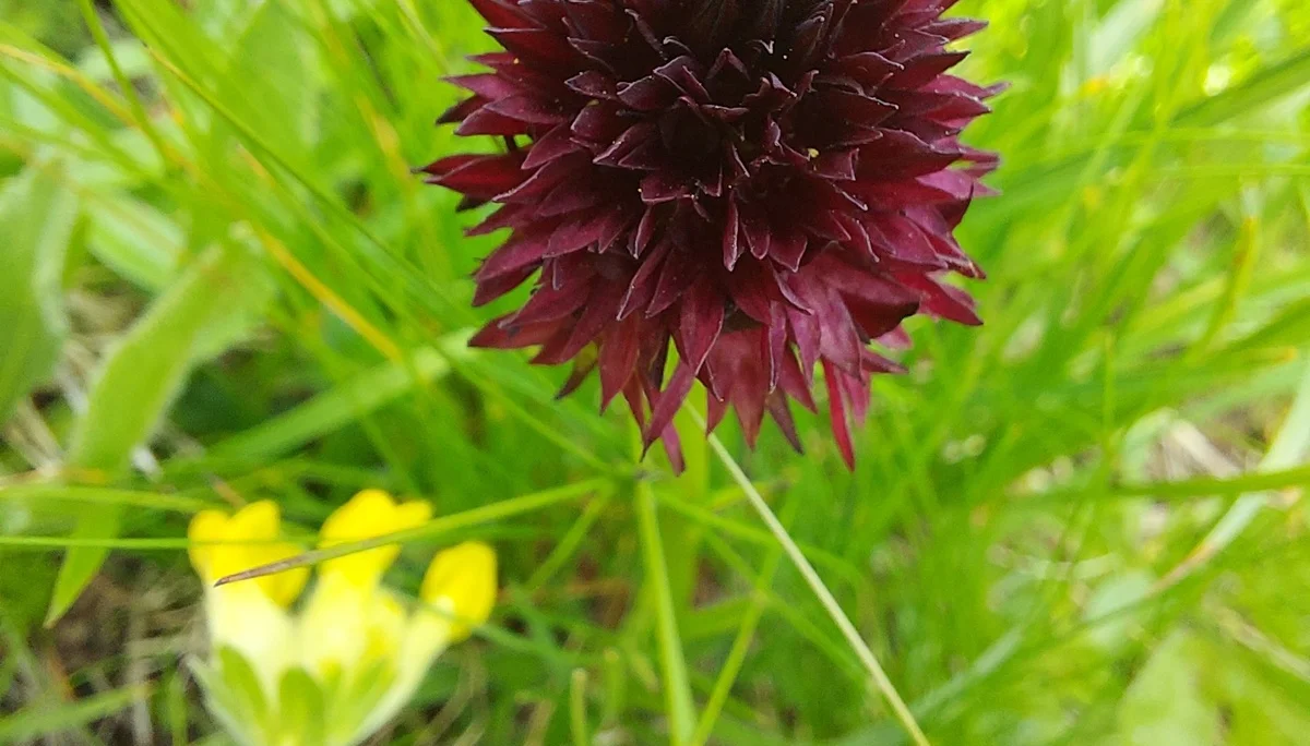 © Bergfreunde-Muenchen AD