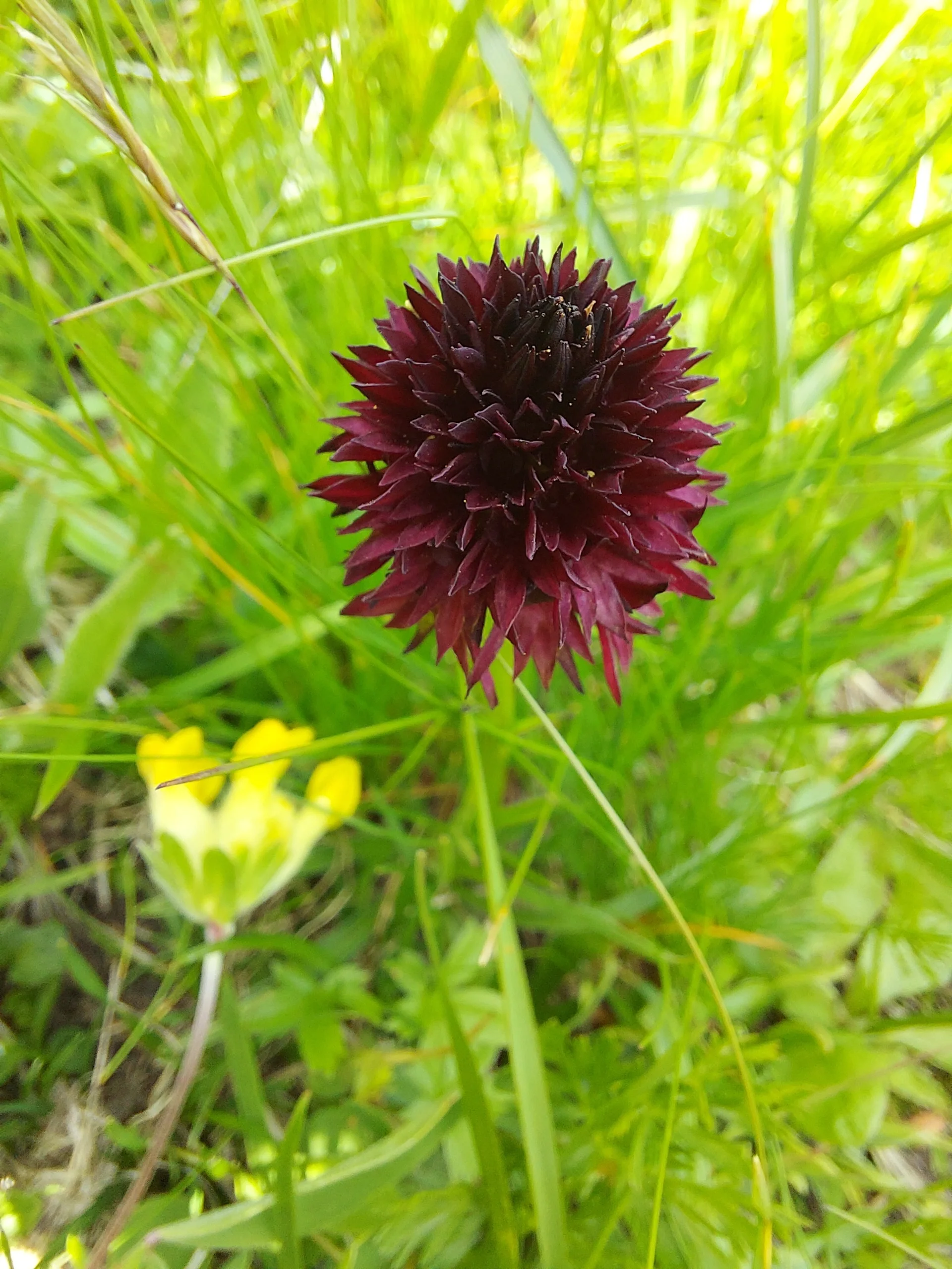 © Bergfreunde-Muenchen AD