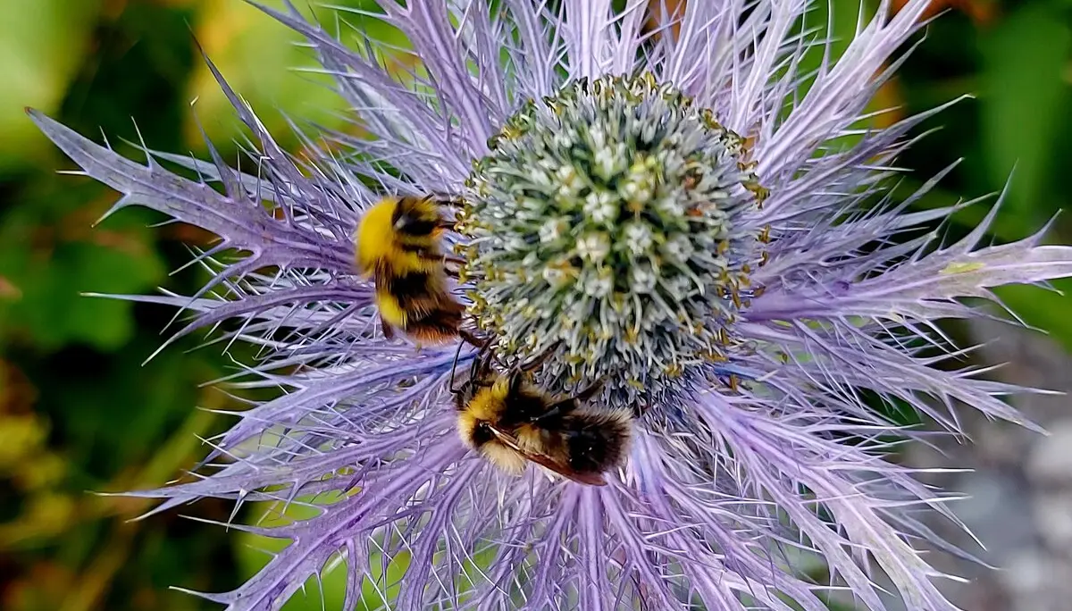 © Bergfreunde-Muenchen AD