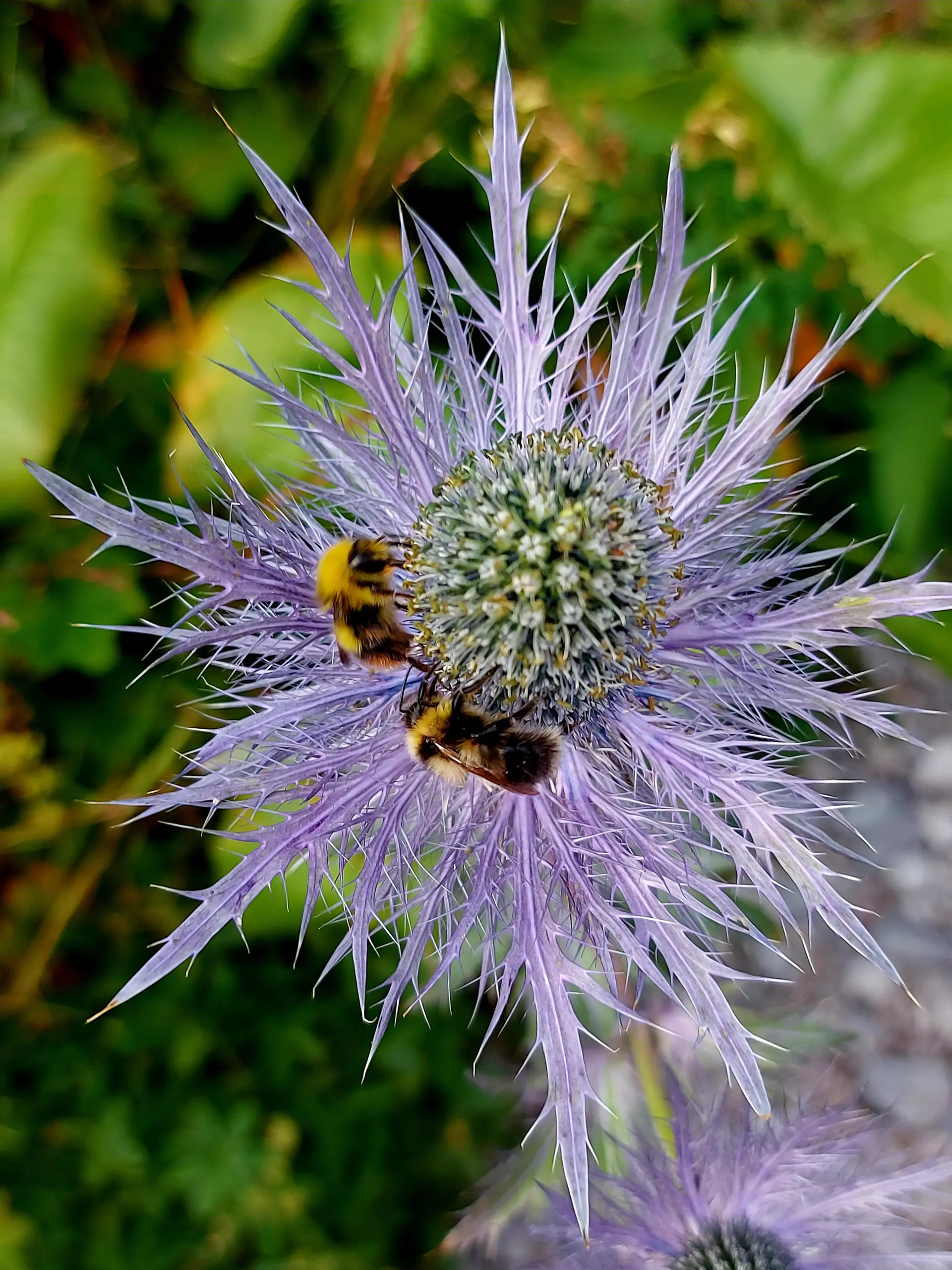 © Bergfreunde-Muenchen AD