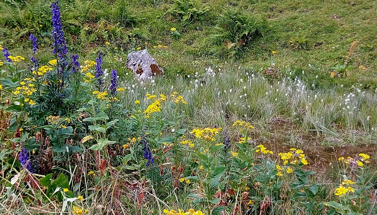 © Bergfreunde-Muenchen AD