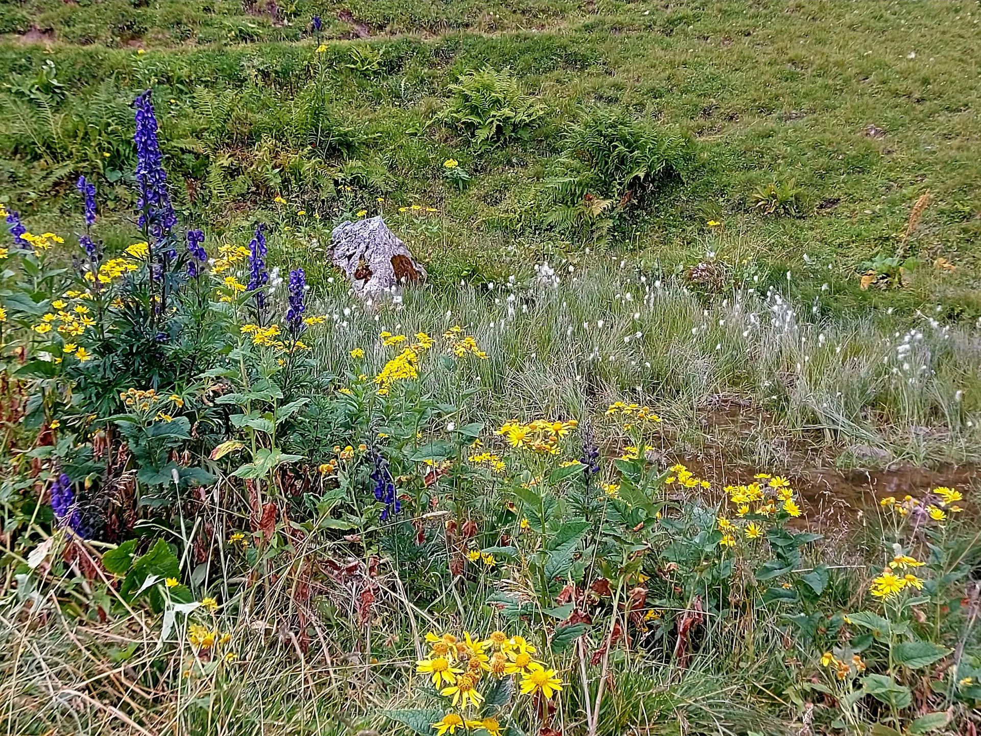 © Bergfreunde-Muenchen AD