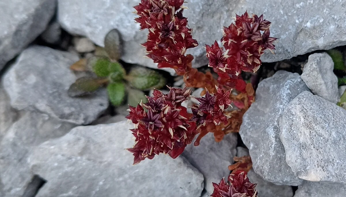 © Bergfreunde-Muenchen PH