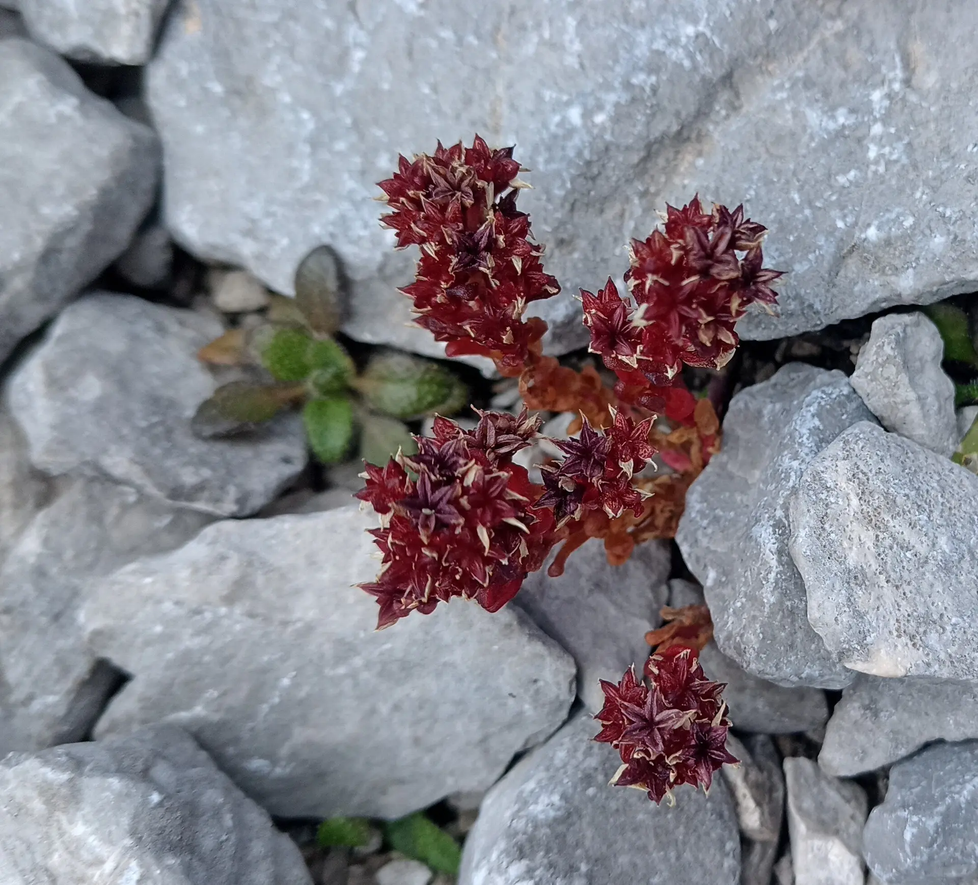 © Bergfreunde-Muenchen PH