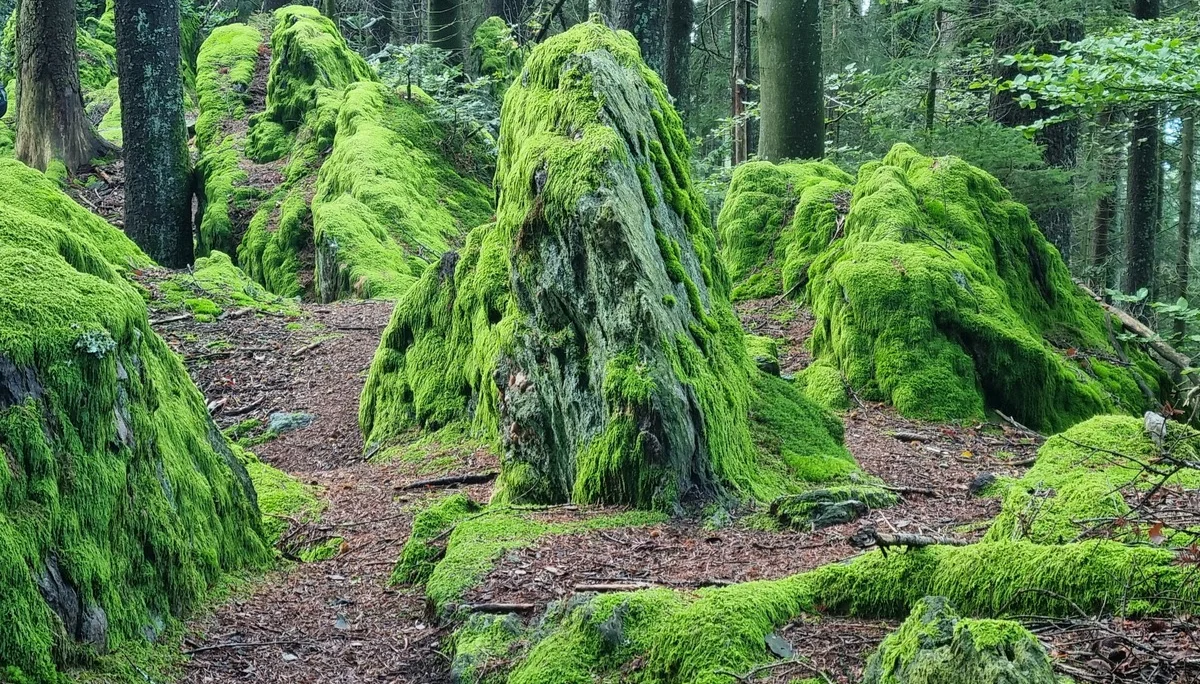 © Bergfreunde München BaFr