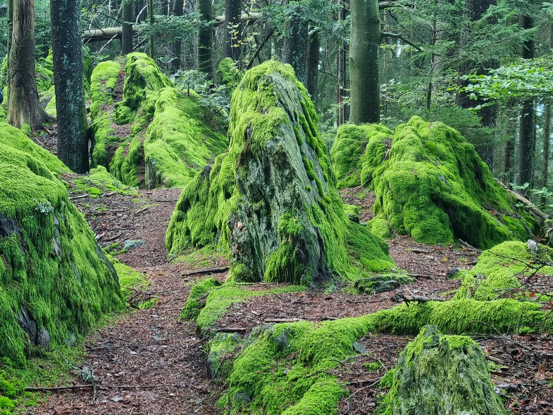 © Bergfreunde München BaFr