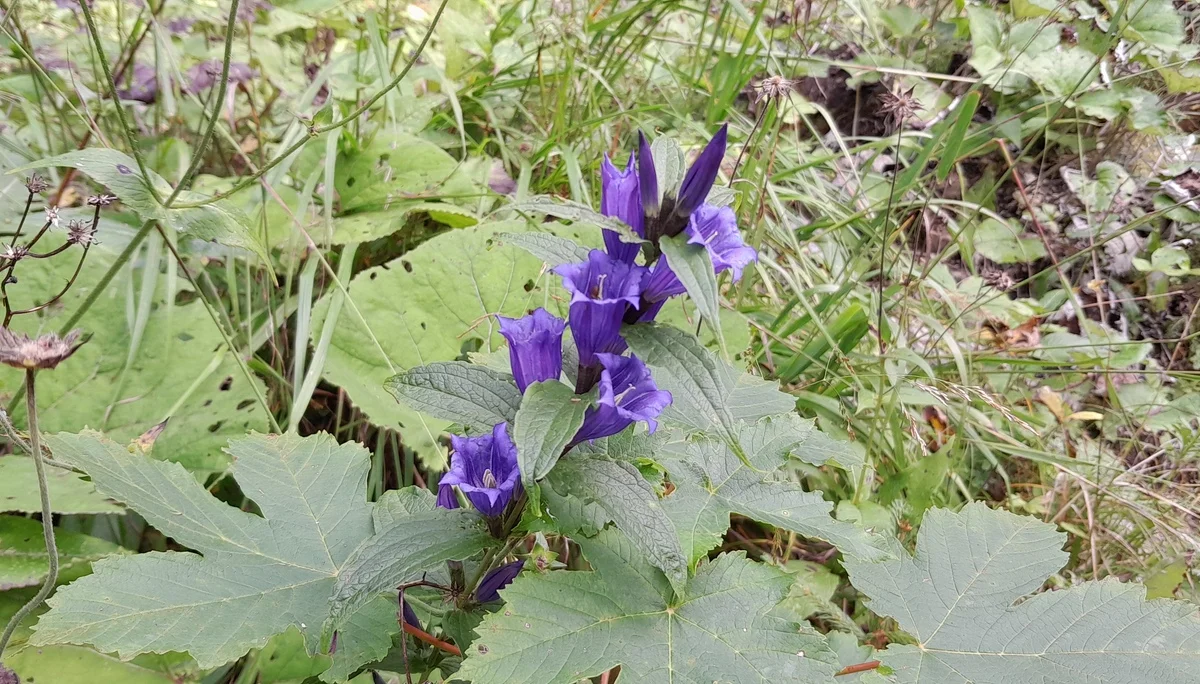 © Bergfreunde München fs