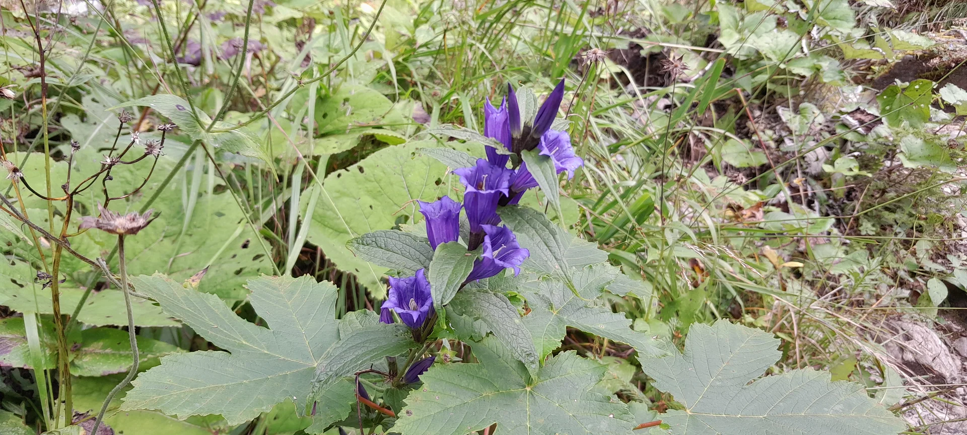 © Bergfreunde München fs