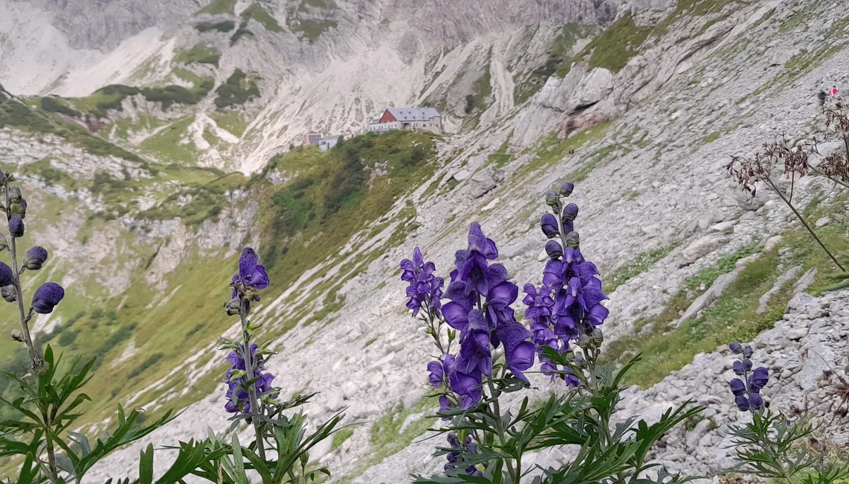 © Bergfreunde München fs