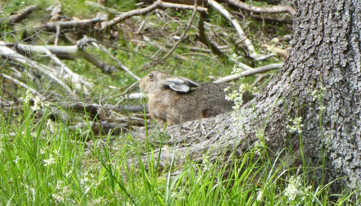 © Bergfreunde München fs