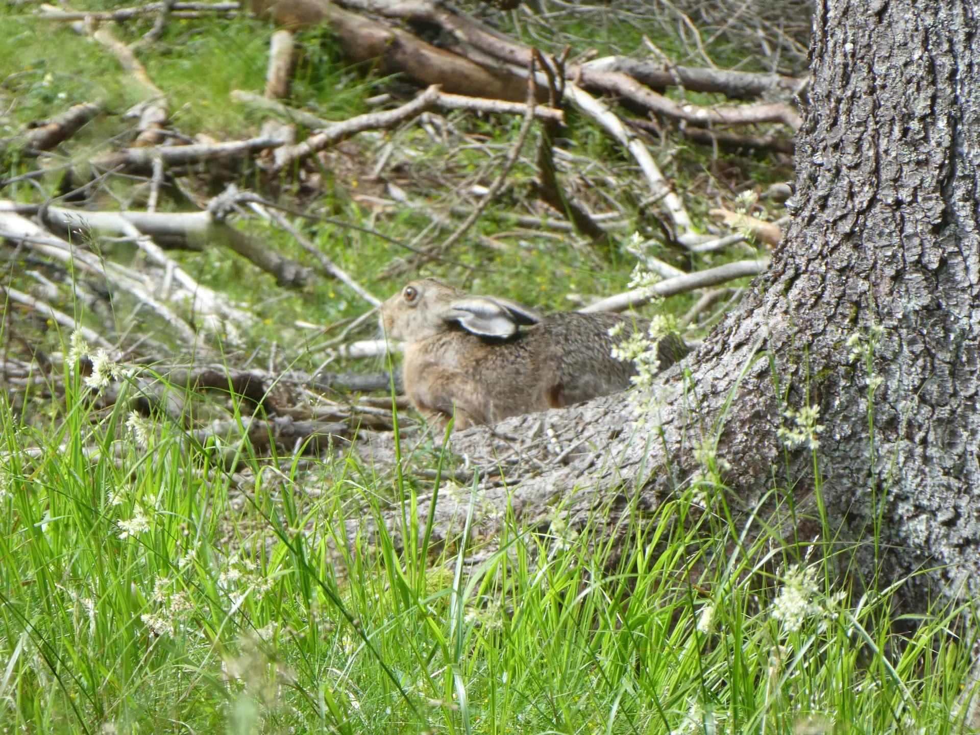 © Bergfreunde München fs