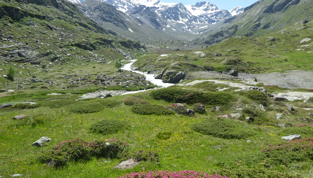 © Bergfreunde München ms