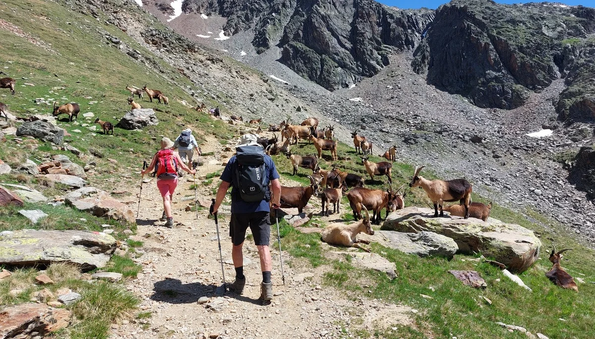 © Bergfreunde München ms
