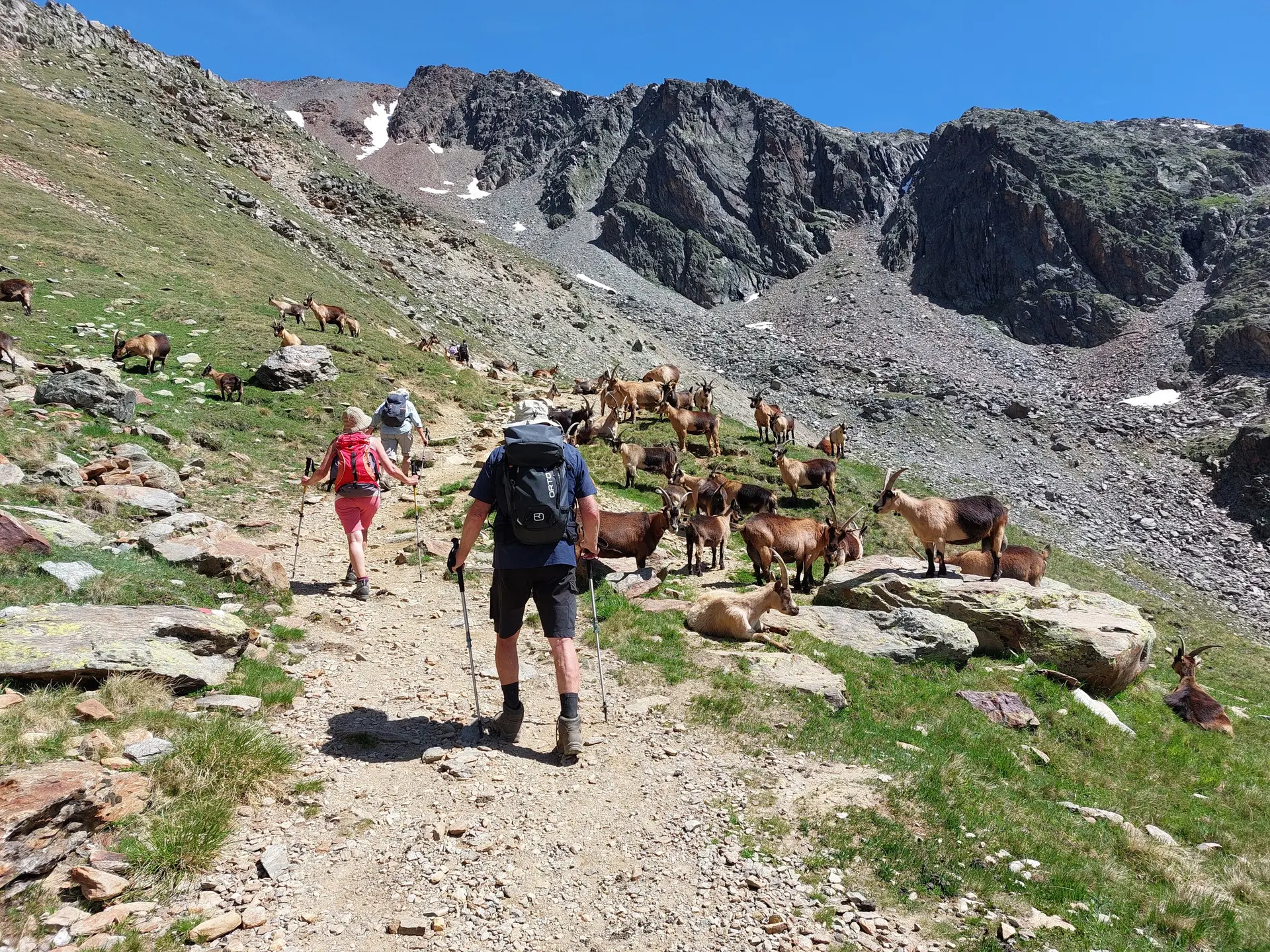 © Bergfreunde München ms