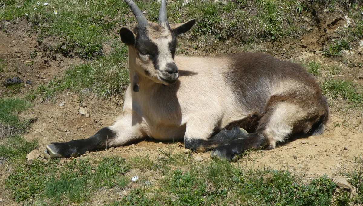 © Bergfreunde München ms