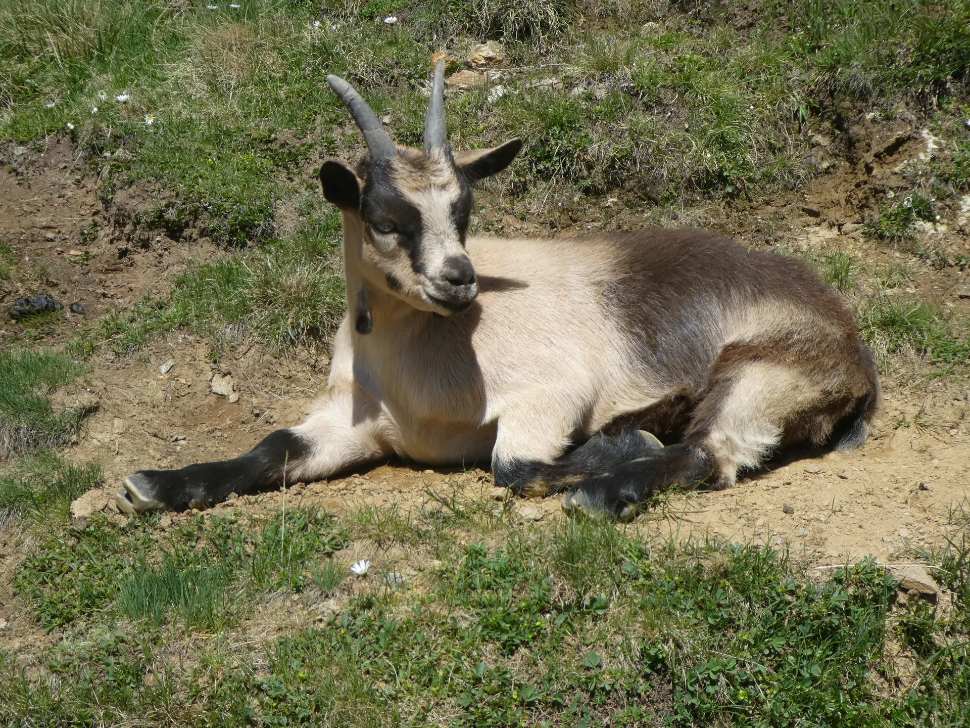© Bergfreunde München ms