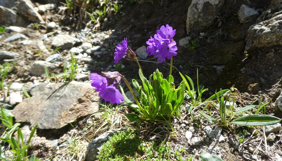 © Bergfreunde München ms