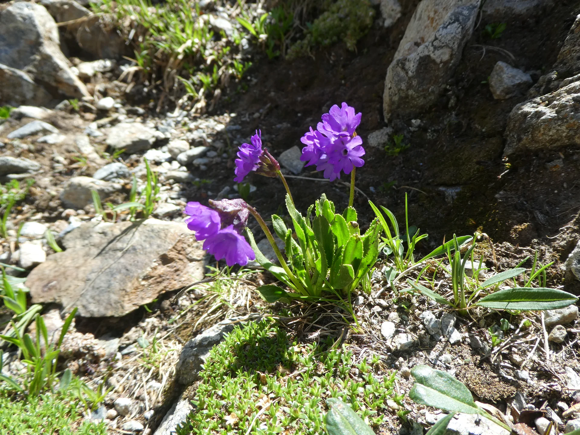 © Bergfreunde München ms