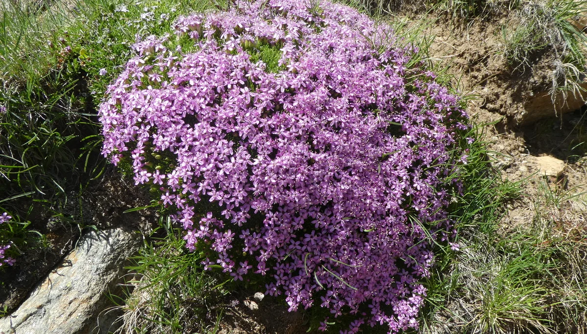 © Bergfreunde München ms