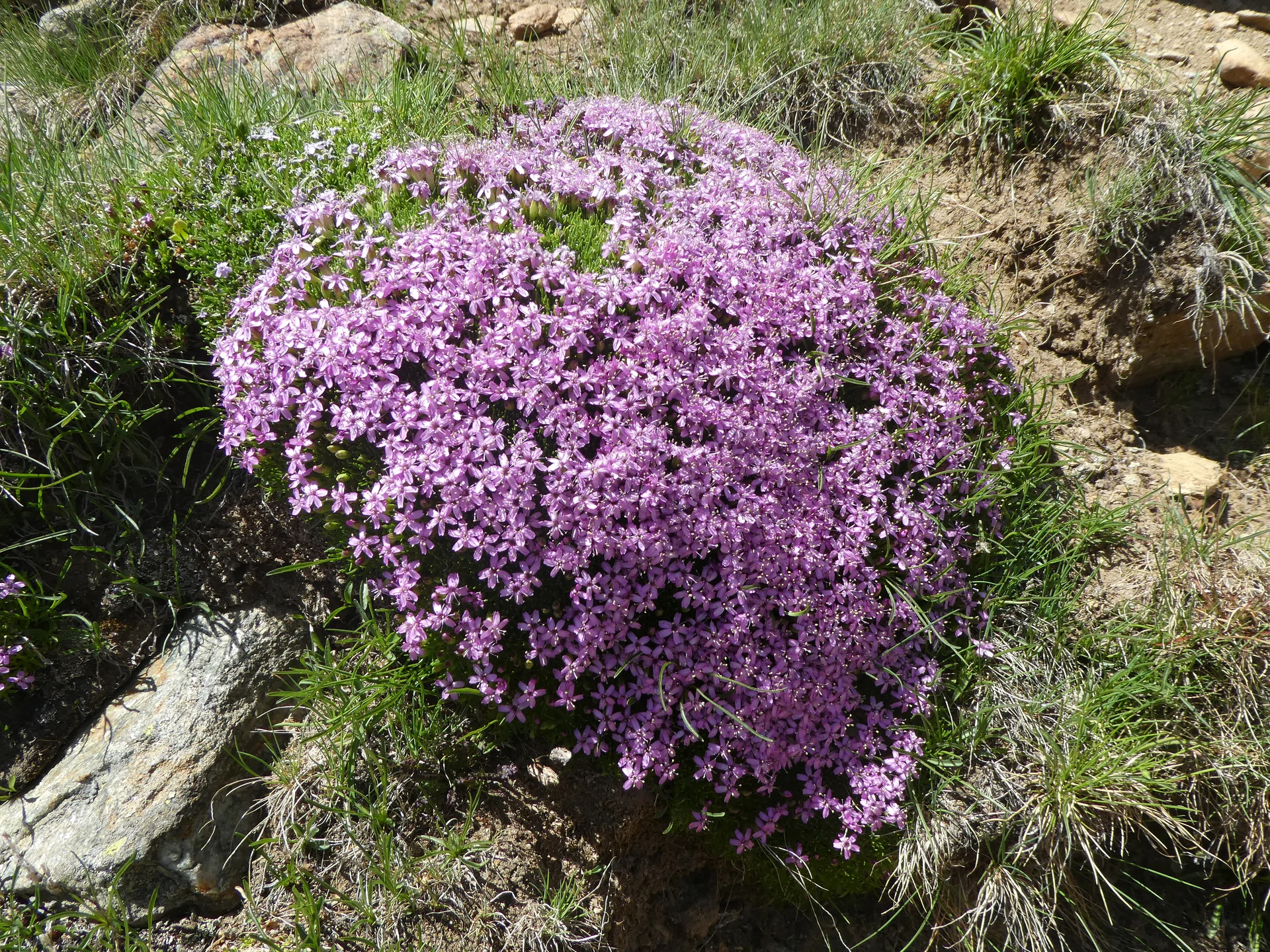 © Bergfreunde München ms