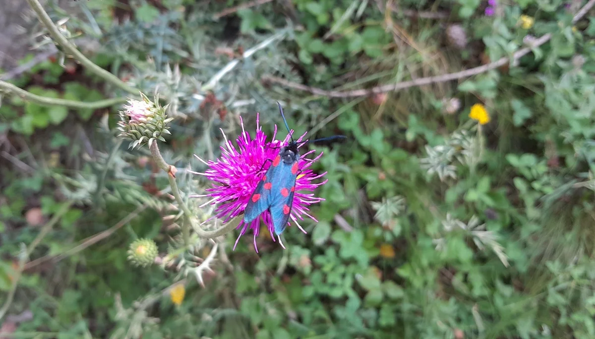 © Bergfreunde München ms