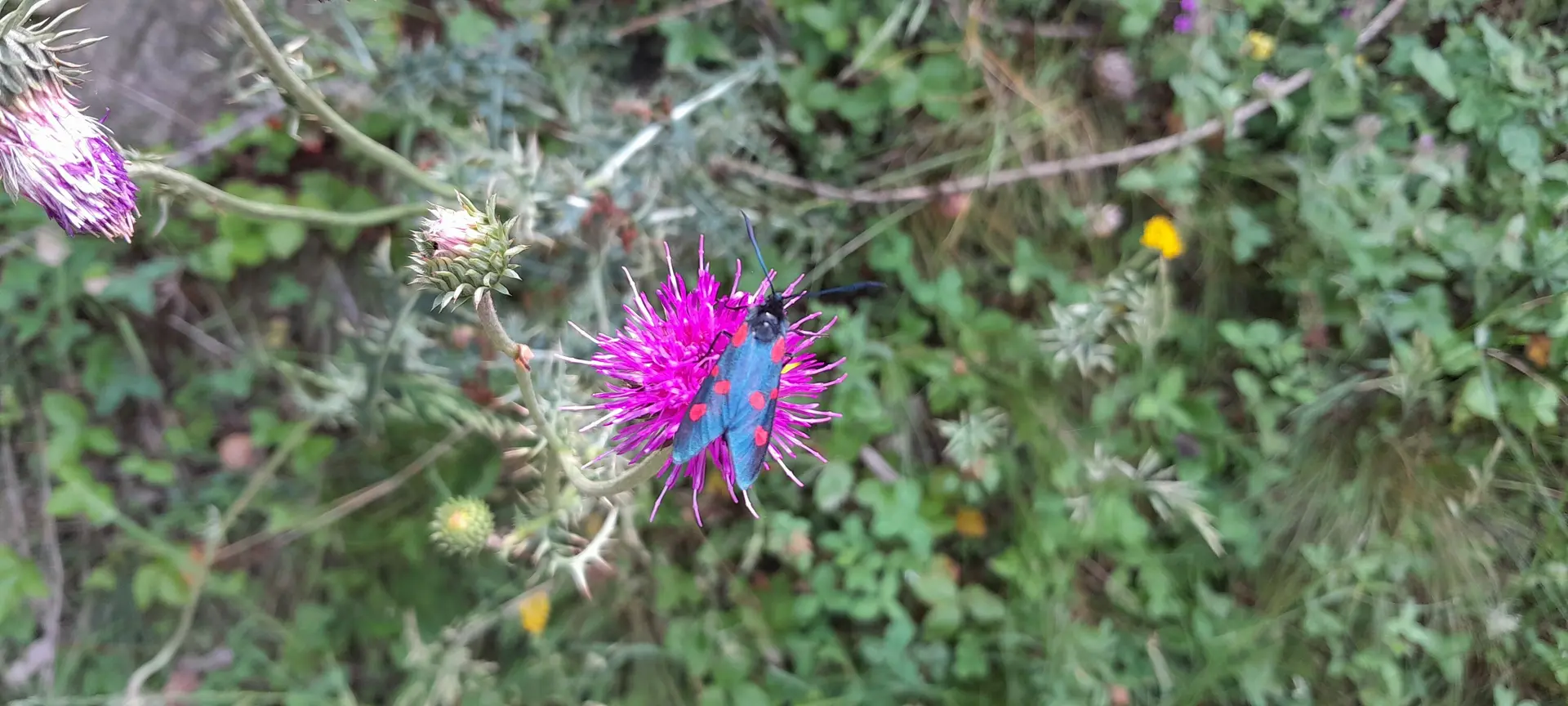 © Bergfreunde München ms