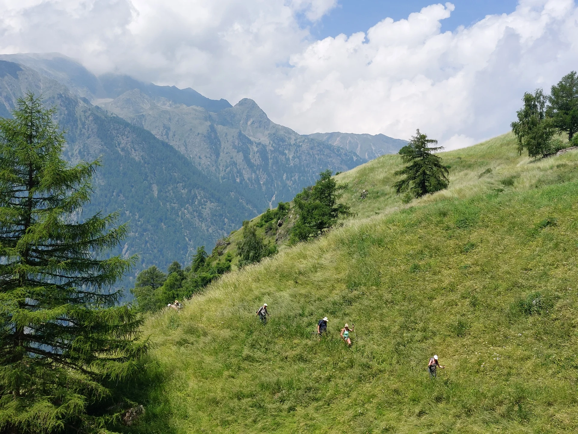 © Bergfreunde München ms