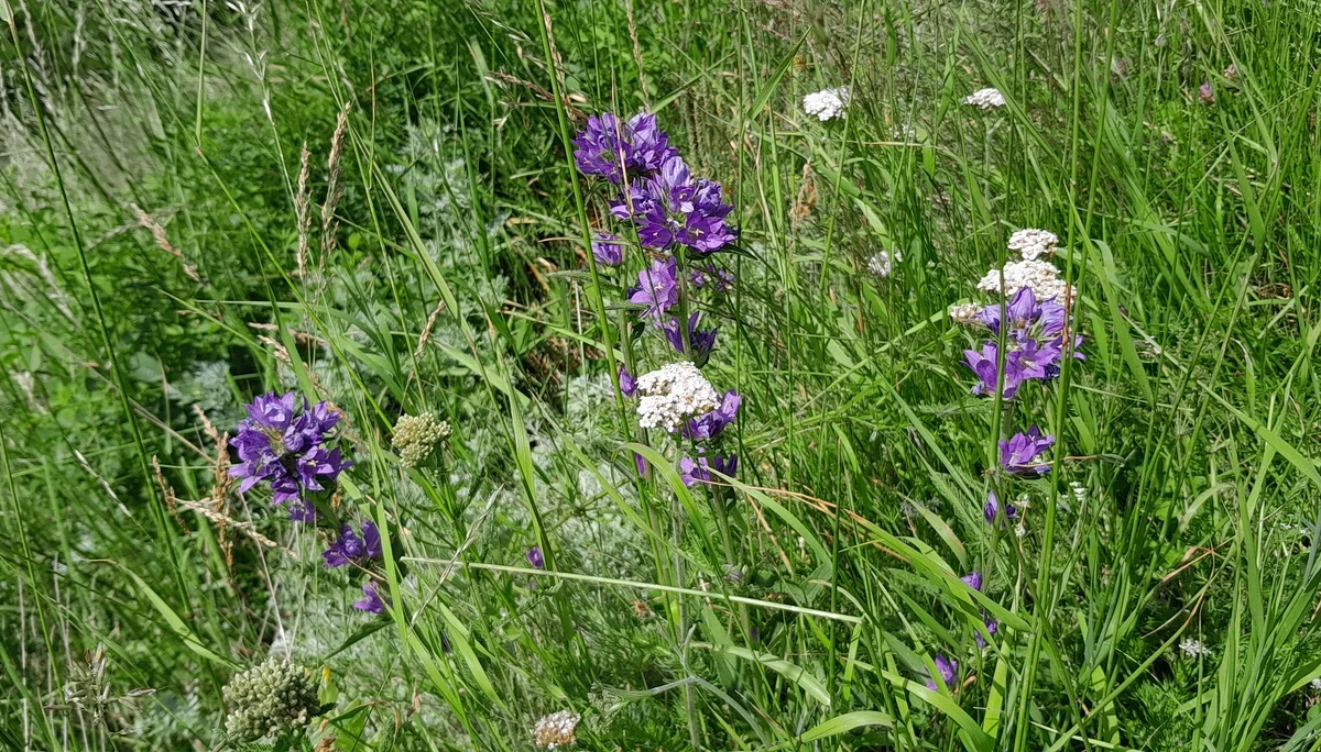 © Bergfreunde München ms