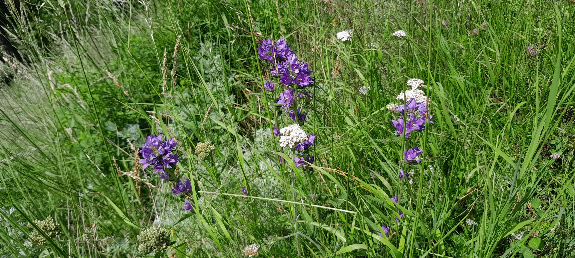 © Bergfreunde München ms