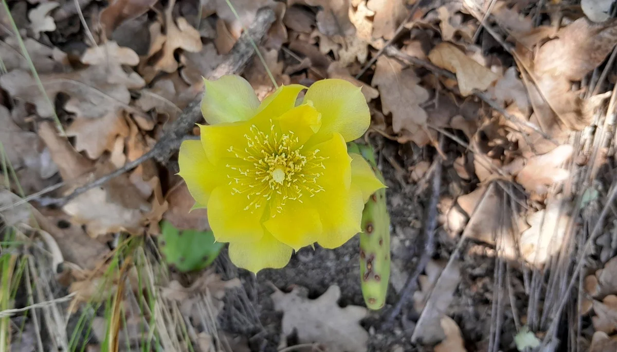 © Bergfreunde München ms