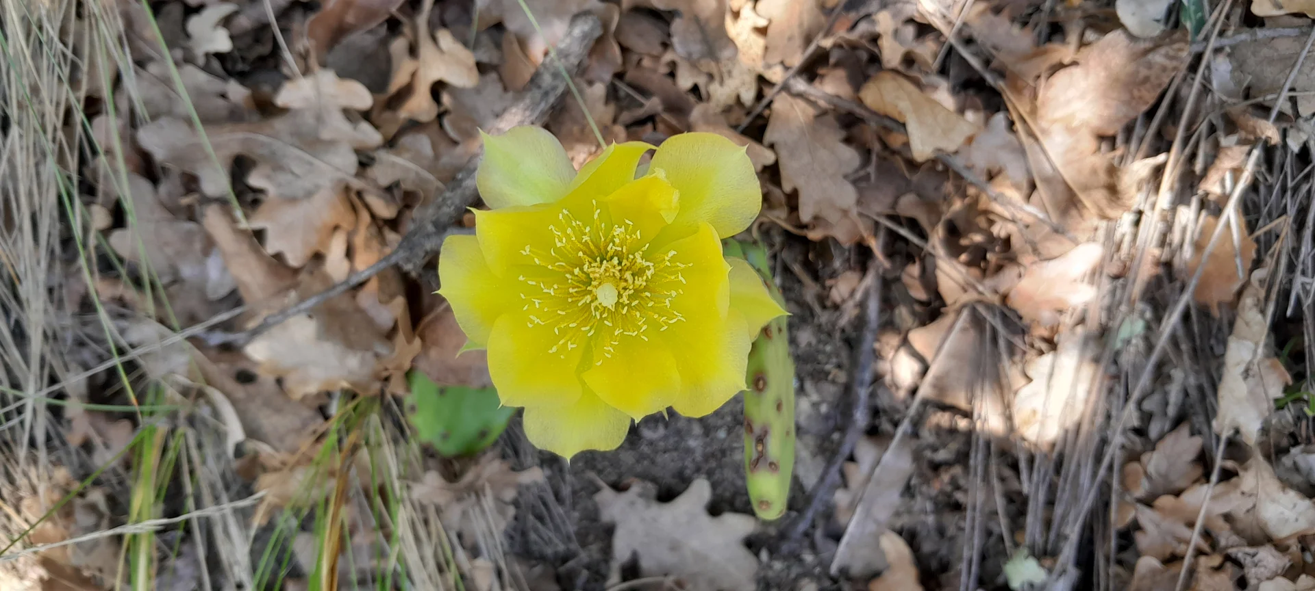 © Bergfreunde München ms