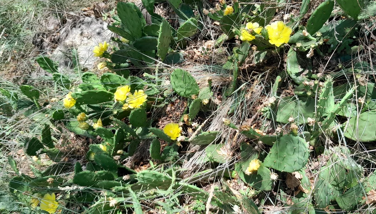 © Bergfreunde München ms