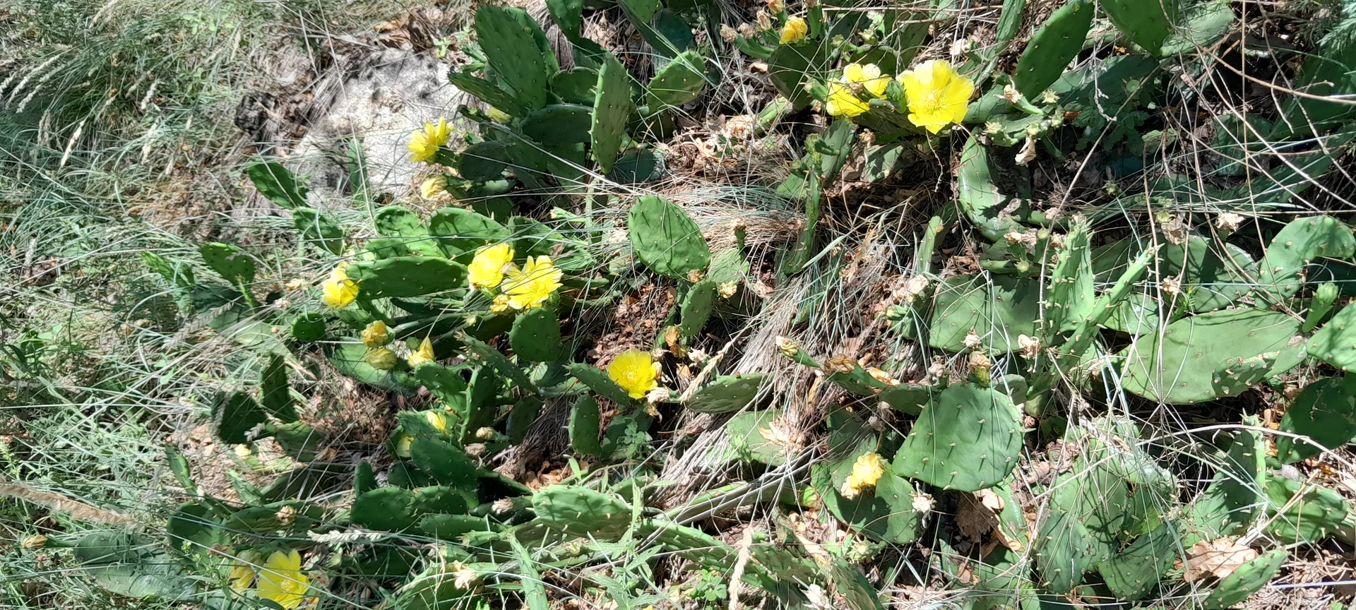 © Bergfreunde München ms