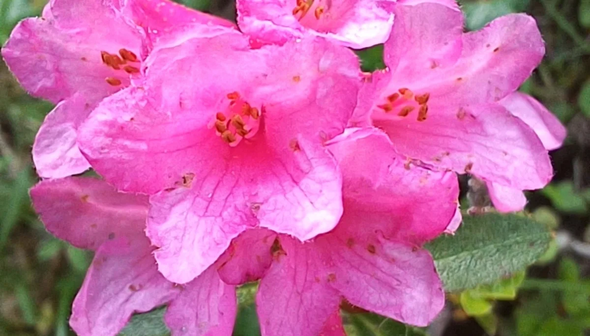 © Bergfreunde München HN