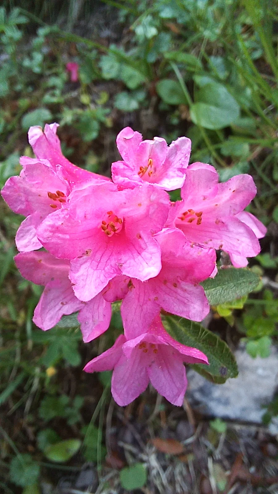 © Bergfreunde München HN