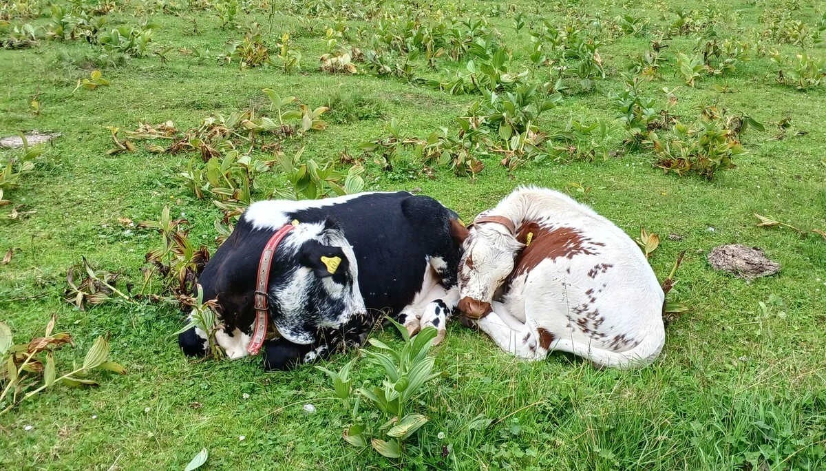 © Bergfreunde München HN