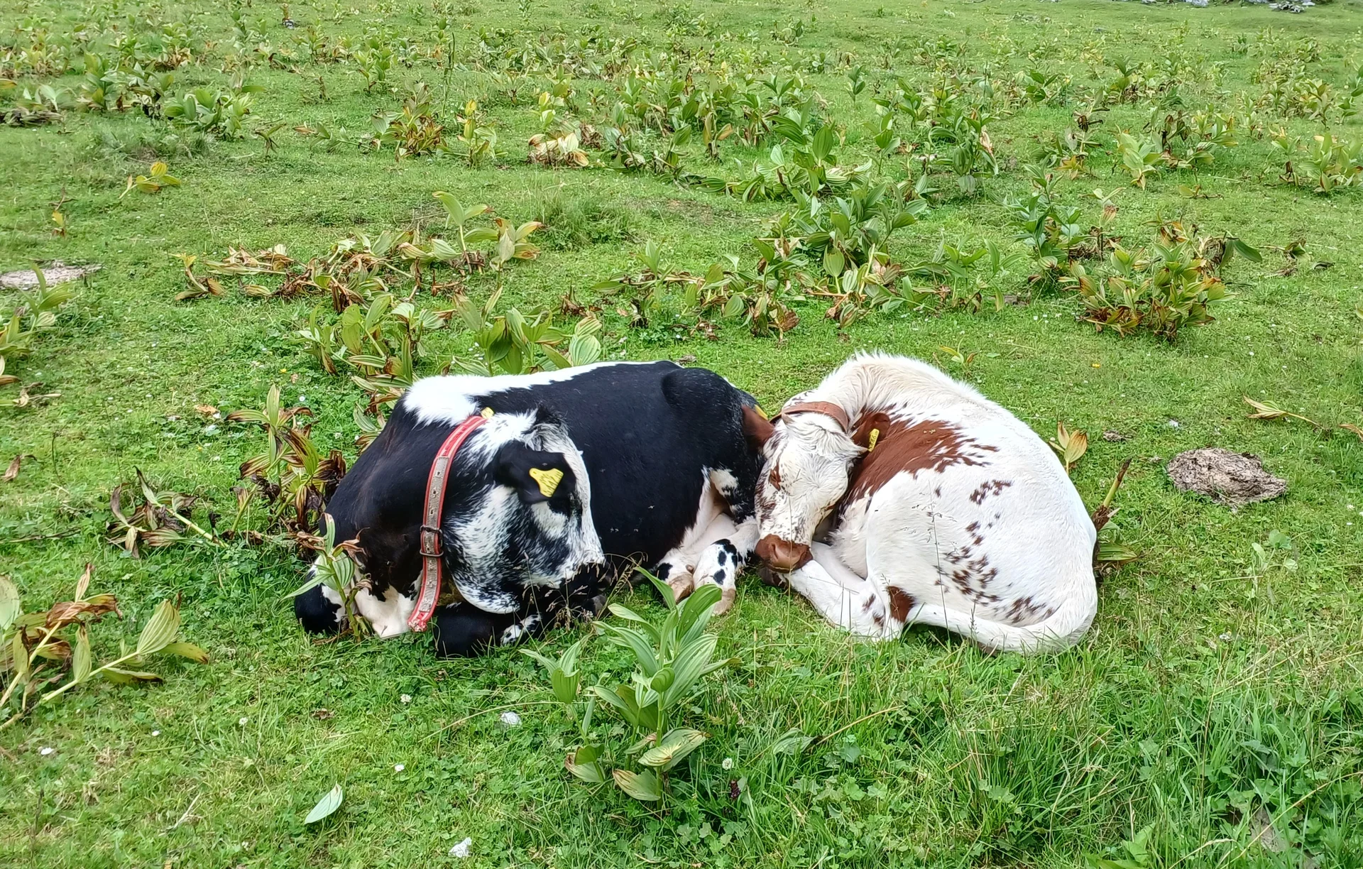 © Bergfreunde München HN