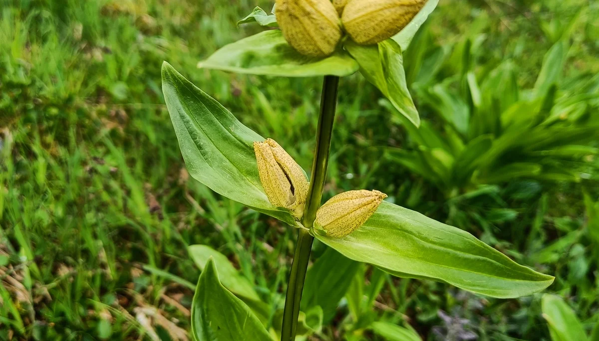 © Bergfreunde München JvU