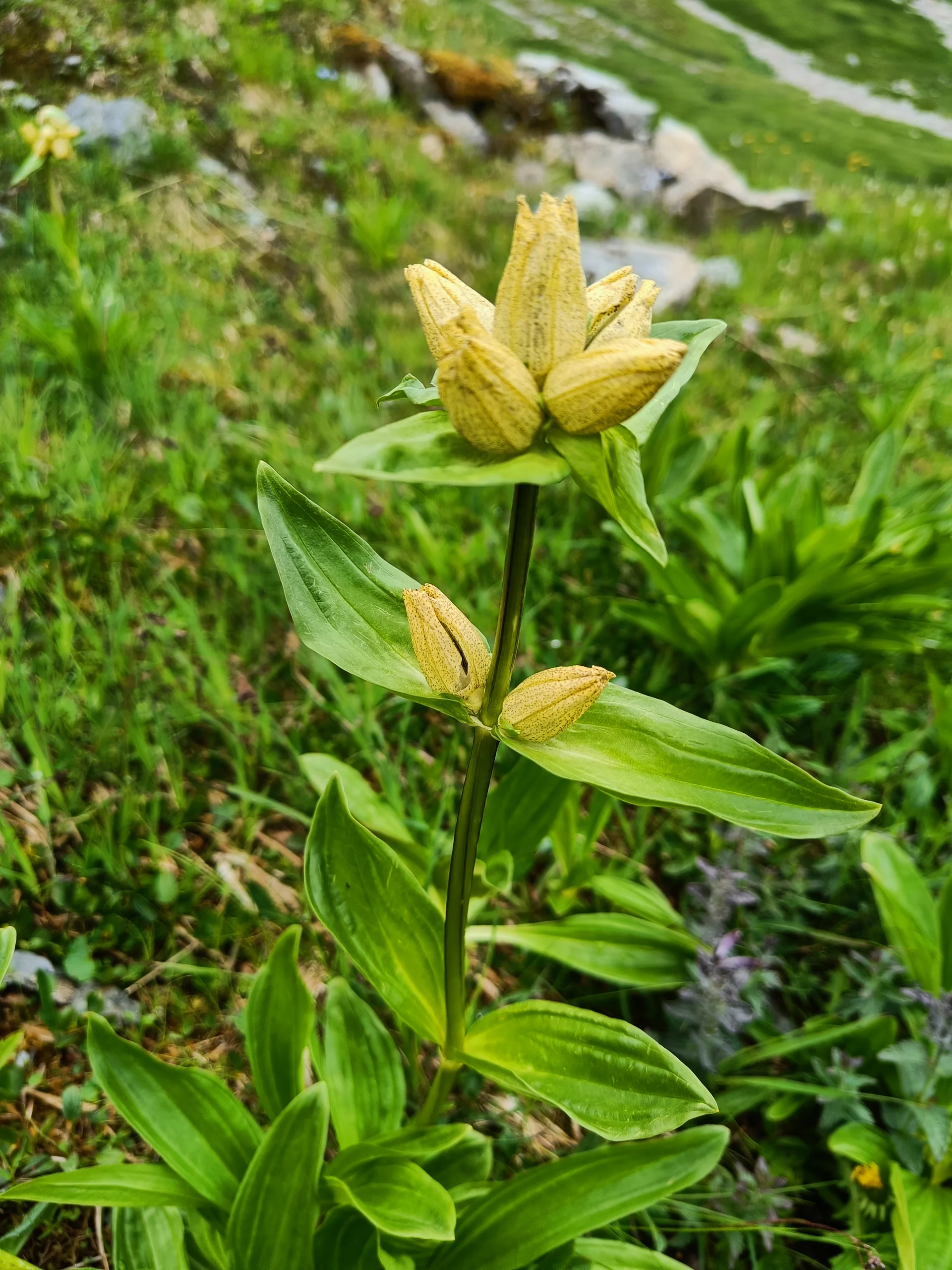 © Bergfreunde München JvU