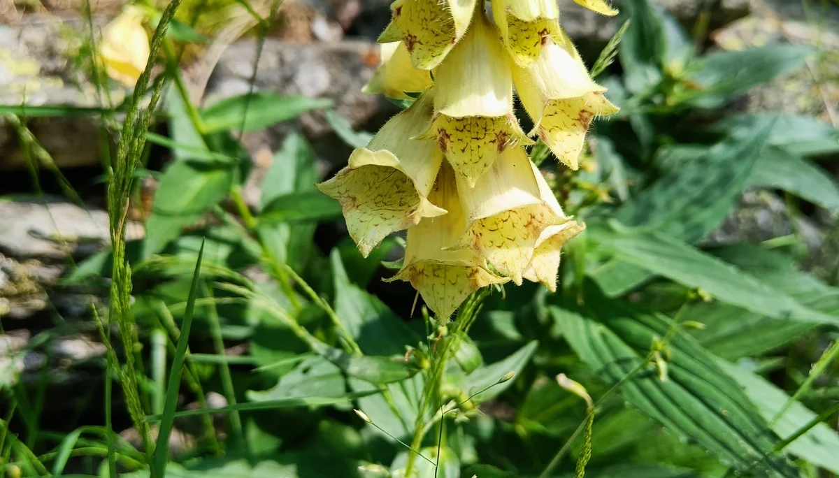 © Bergfreunde München JvU