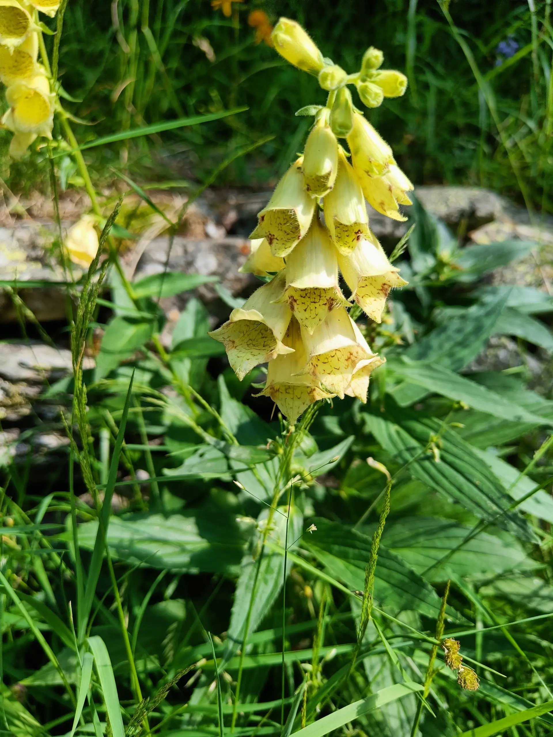 © Bergfreunde München JvU
