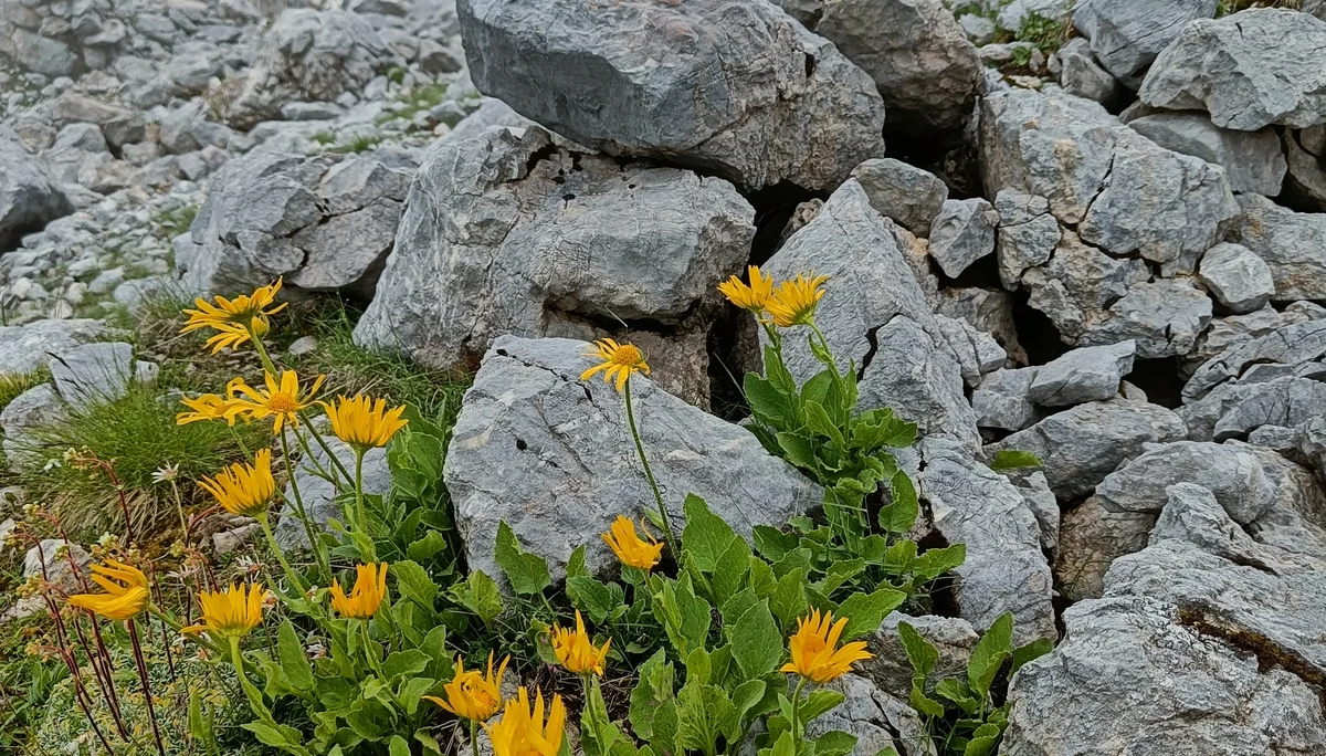 © Bergfreunde München JvU