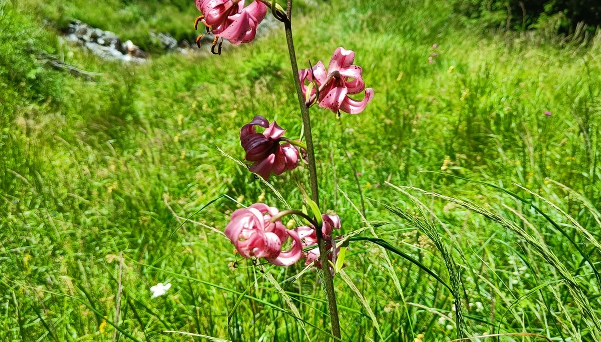 © Bergfreunde München JvU