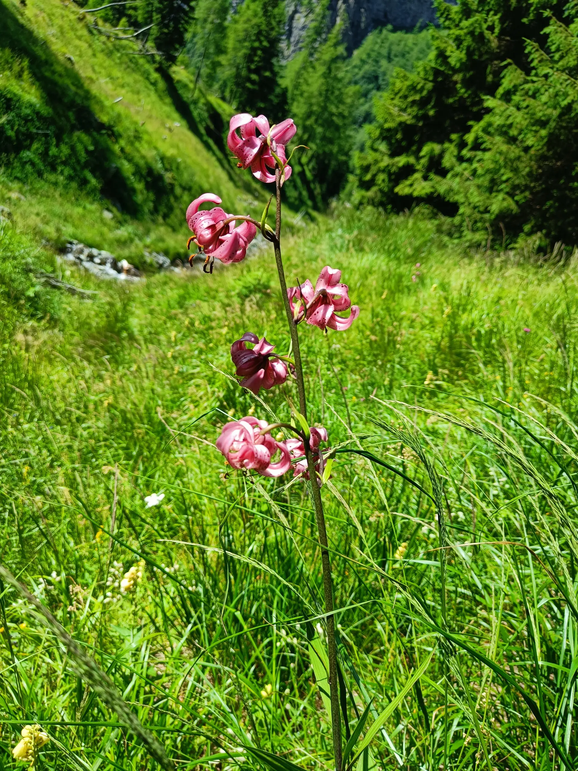 © Bergfreunde München JvU