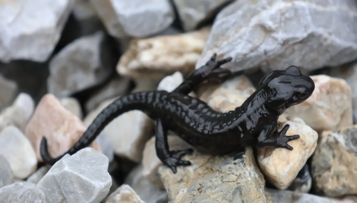 © Bergfreunde München WW