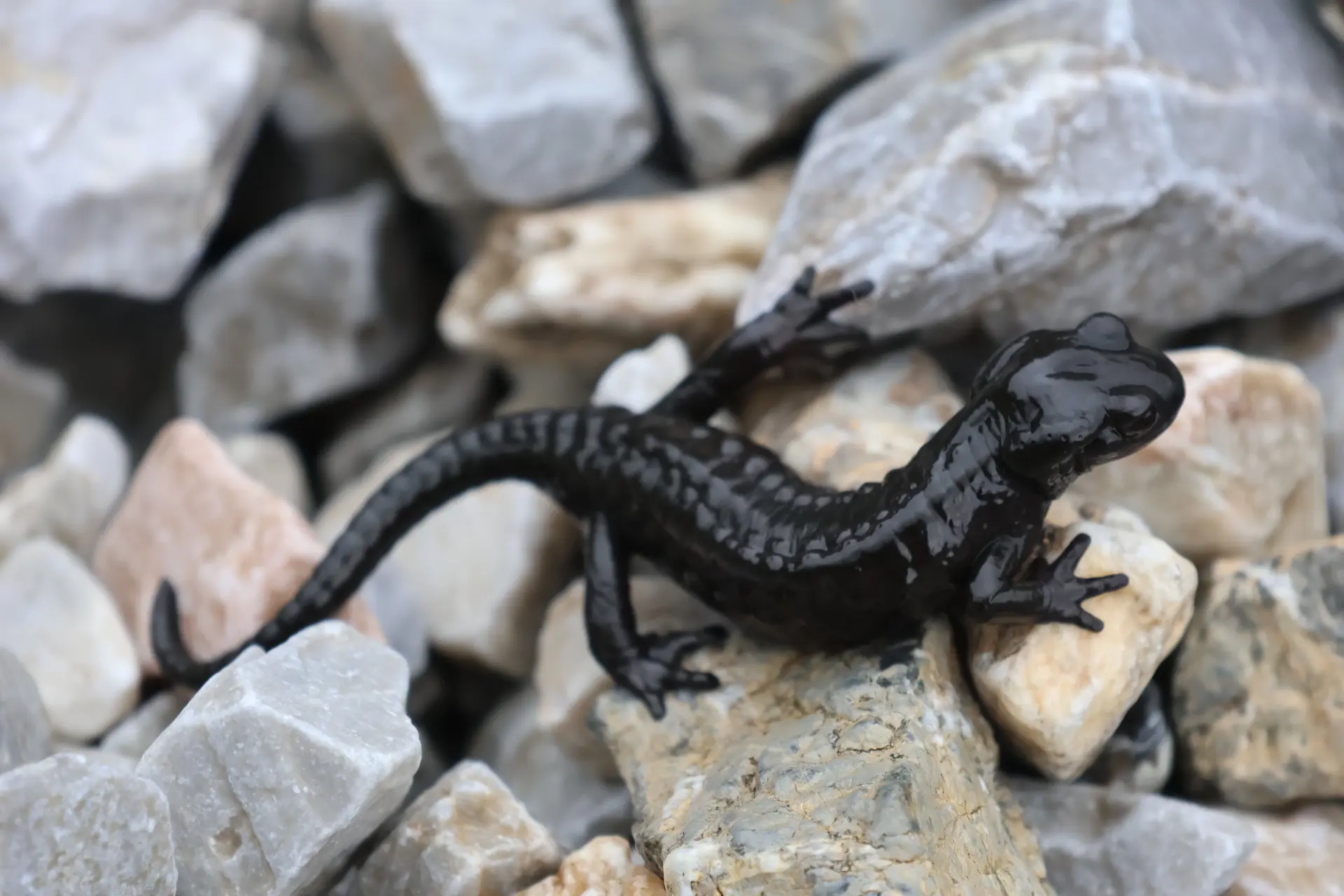 © Bergfreunde München WW