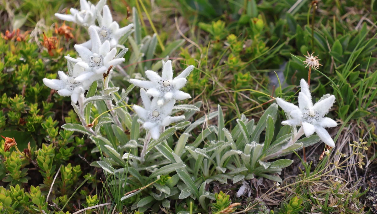 © Bergfreunde München WW
