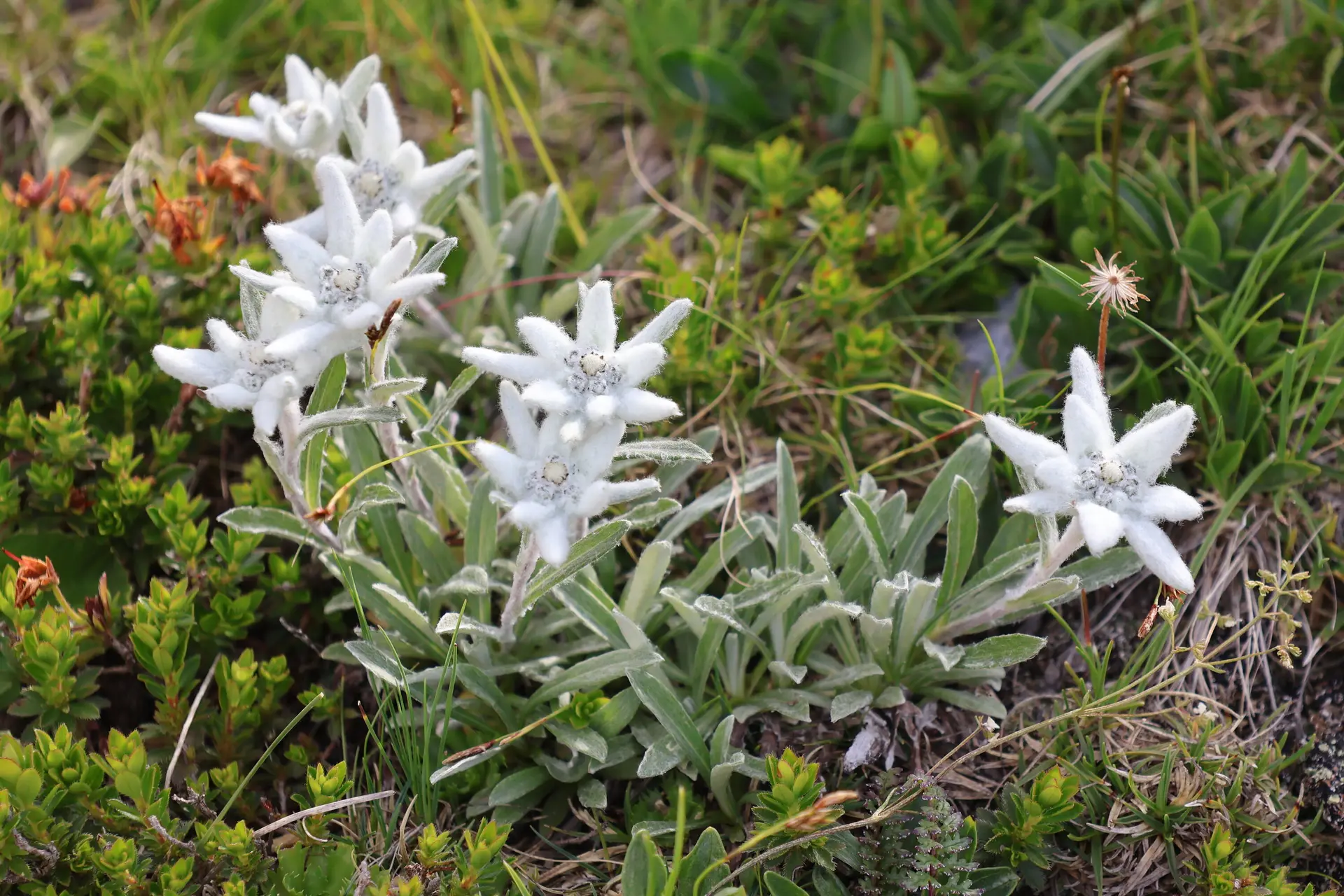 © Bergfreunde München WW