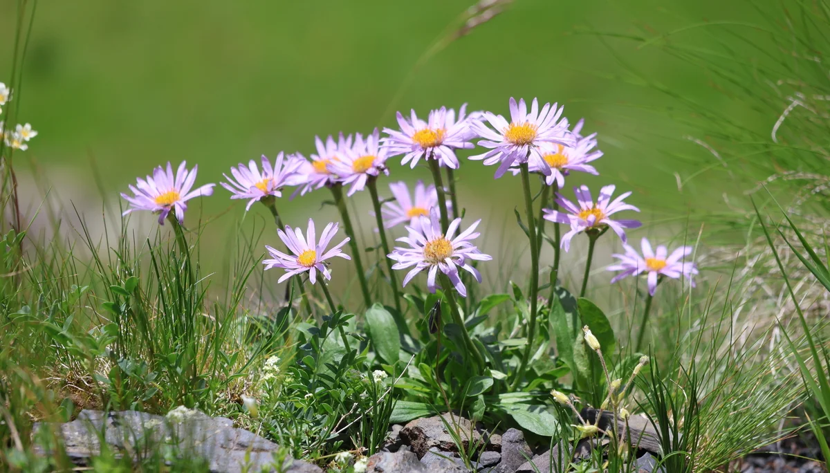 © Bergfreunde München WW